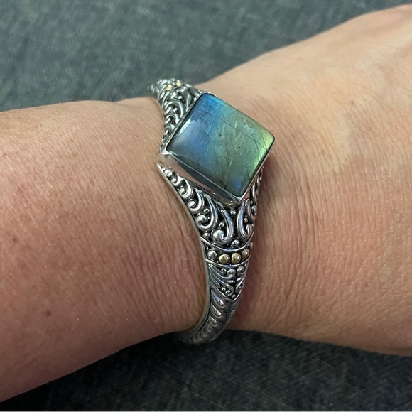 NWOT Samuel B Ningsih Bangle - Labradorite - Picture 1 of 9